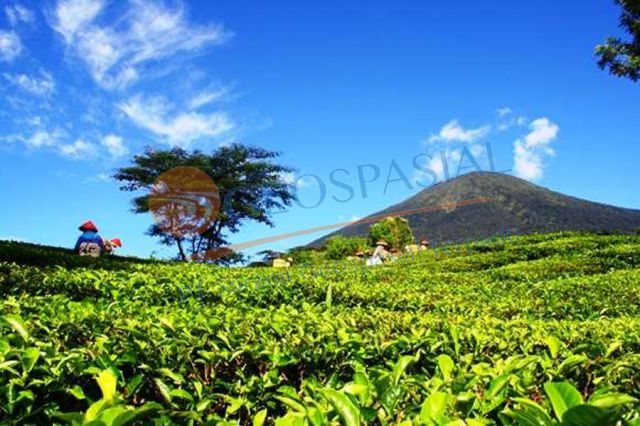 Pesona Gunung Dempo